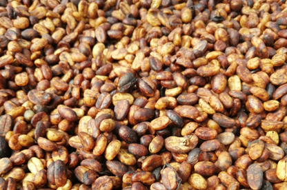 Finca La Balastrera