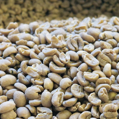 Swiss Water Decaf - SHG WHOLESALE