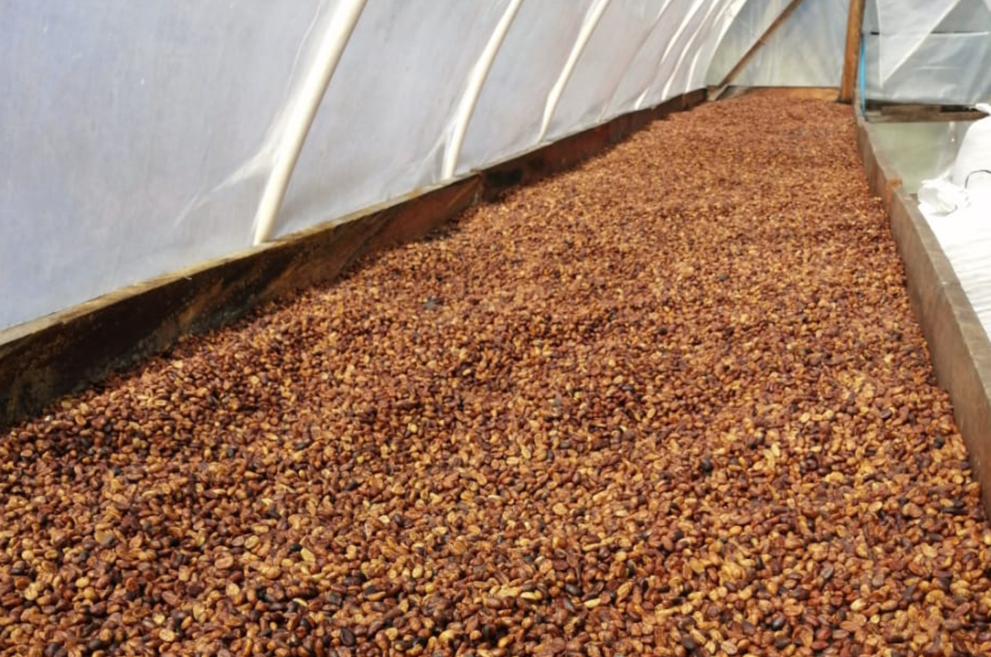 Finca La Balastrera
