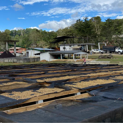 Finca Los Girasoles