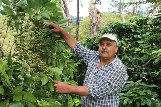 Finca La Balastrera