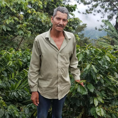 Microlot Puma - WHOLESALE