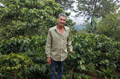 El Zarzal