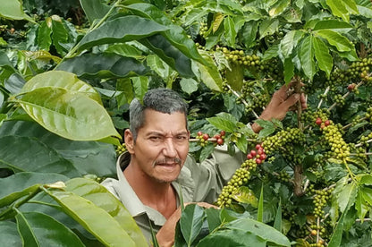 El Zarzal