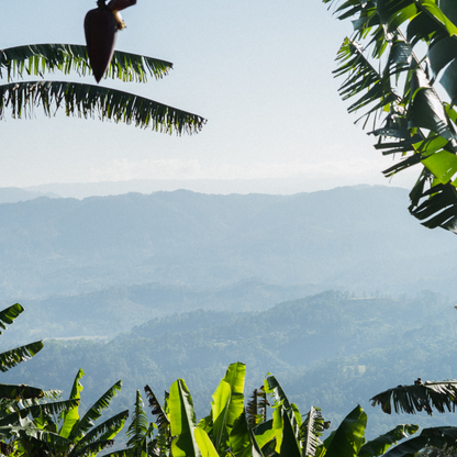 Finca El Espíritu Santo