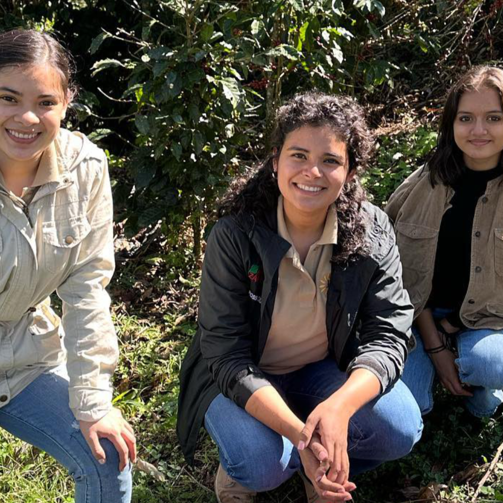 Finca Los Girasoles