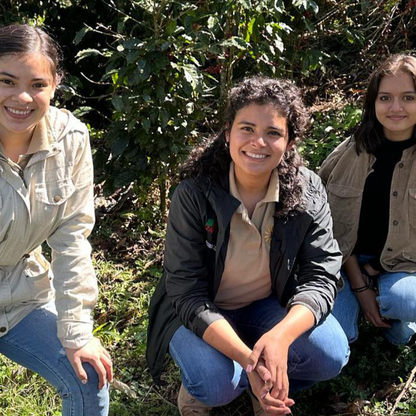 Finca Los Girasoles