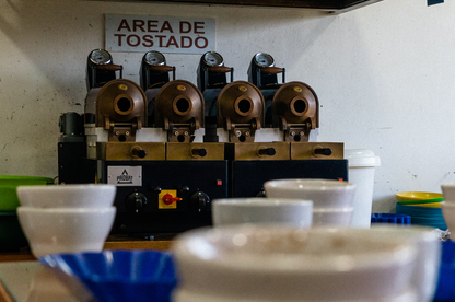 Coffee Cupping Session