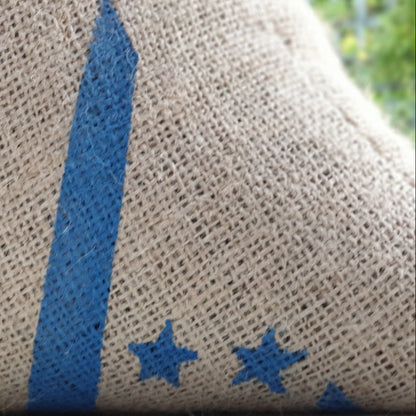 Microlot Puma - WHOLESALE